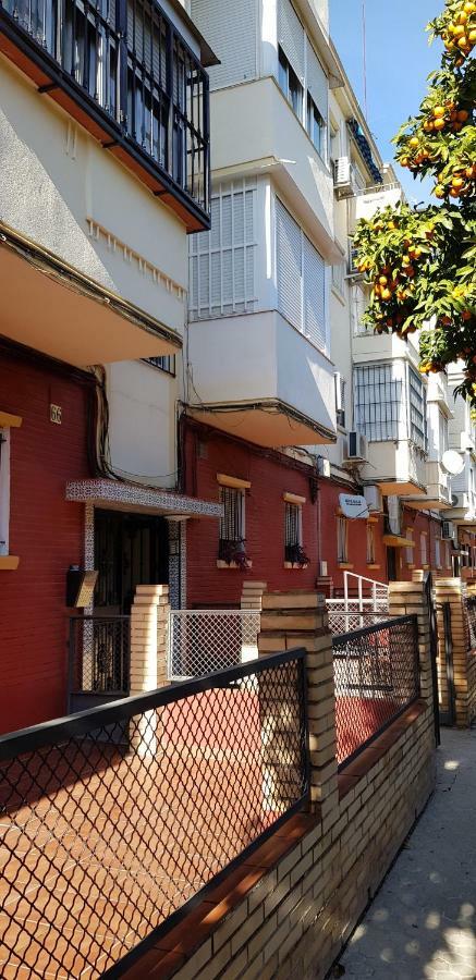 Nervión Piso Con Patio Siviglia